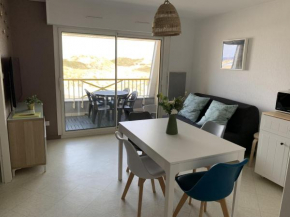 Appartement F2 avec balcon, à 2 pas de la plage, parking privé, animaux admis - FR-1-482-113